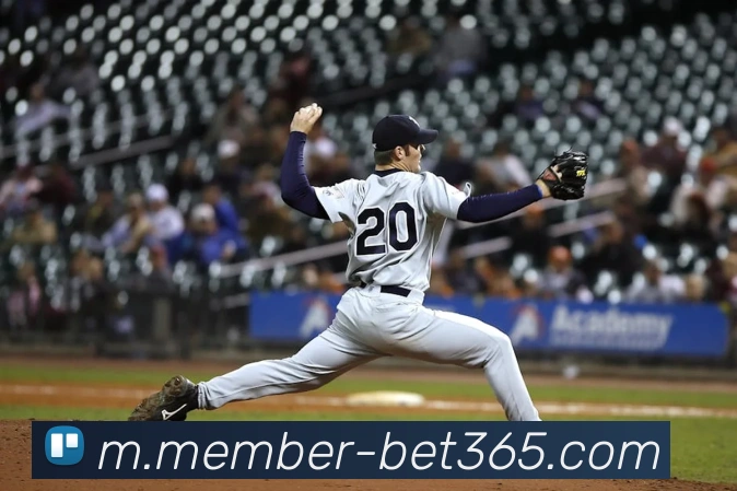 bet365APP 高清赛事图